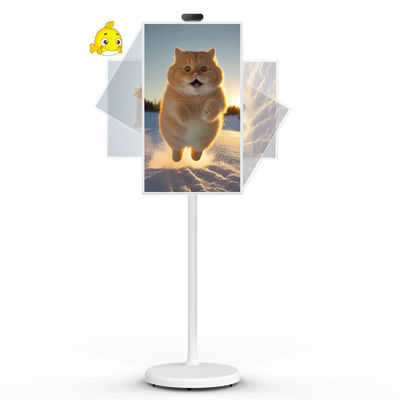 qualidade  21" Android 12 System Stand By Me TV Smart Broadcast Machine Touch Screen fábrica